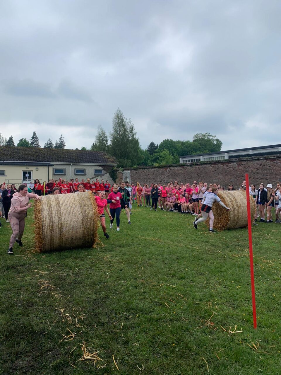 PHOTO-2024-05-17-17-19-33 5